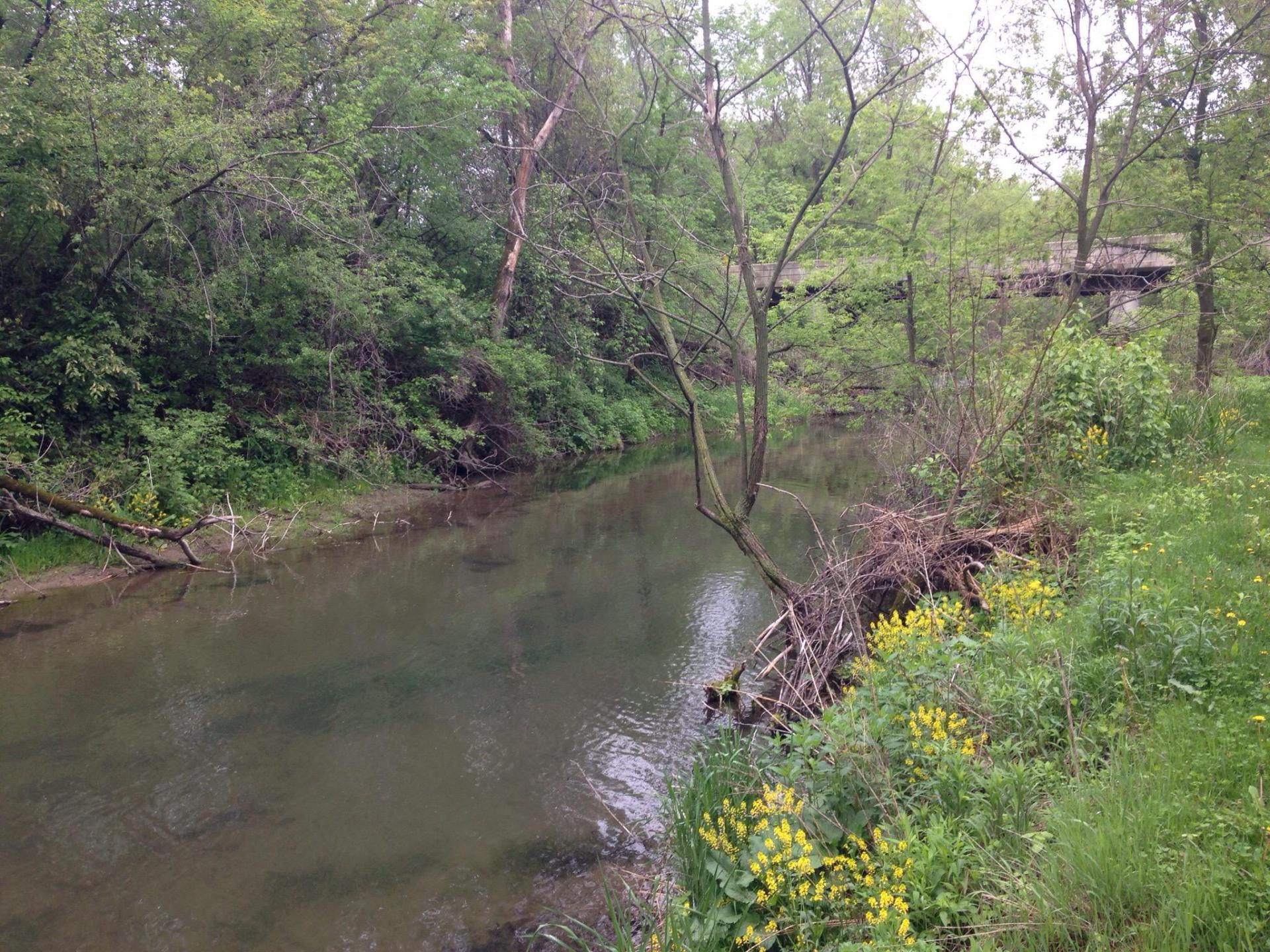 Hay Creek Campground and Restaurant, 31655 Highway 58 Blvd, Red Wing
