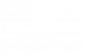 four-seasons