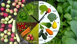 seasonal ingredient rotation benefits